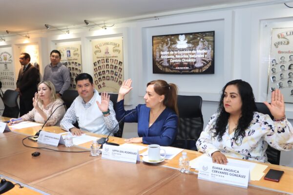 Aprueba Comisi N Del Congreso De Puebla Exhorto Para Prevenir Incendios