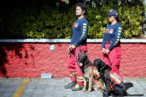 Cruz-roja