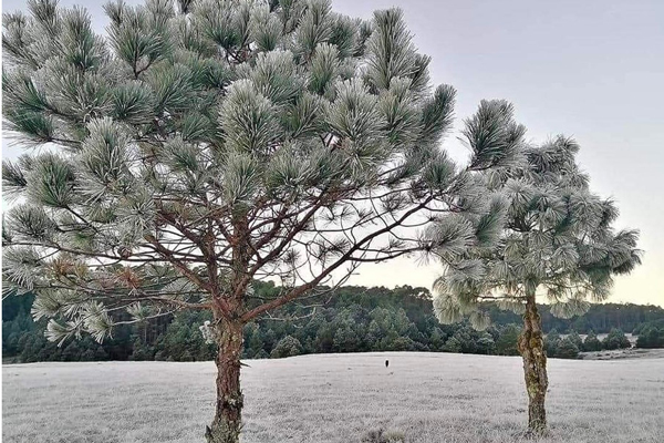 frente-frio