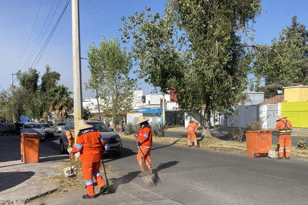 ceniza-puebla