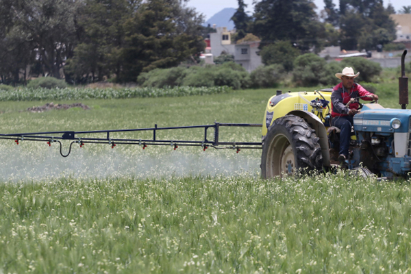 Sequía afecta a 83.94% y 94.94% de la unidades agrícolas de Puebla y  Tlaxcala - Urbano