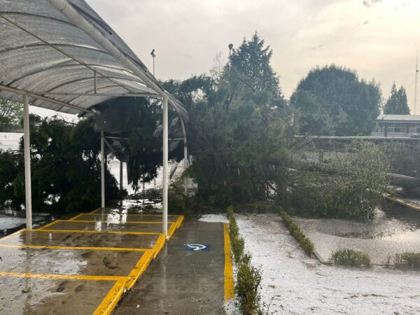 SBINE, bachillerato Digital No. 31, y escuela primaria El Chamizal suspenden clases por inundaciones y caída de árboles