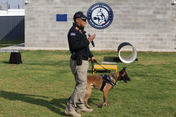 Conforman unidad canina especializada en rescate de personas atrapadas por colapso de inmuebles