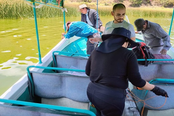 UNAM investiga mortalidad masiva de peces en Laguna de San Bernardino