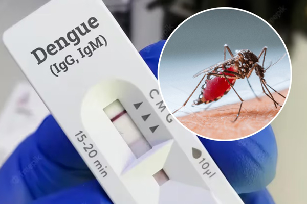 dengue-Puebla