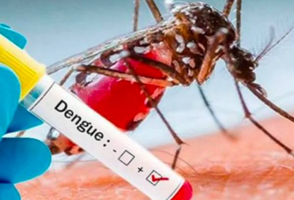 Contagios de dengue registran incremento anual de 273% en Puebla: Secretaría de Salud