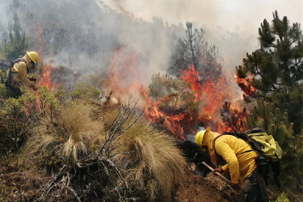 incendios-forestales