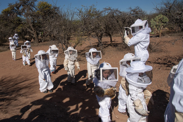 taller-abejas