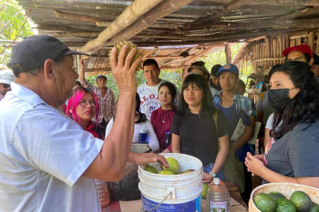 BUAP | Distinguen a la Licenciatura en Gestión Territorial e Identidad Biocultural