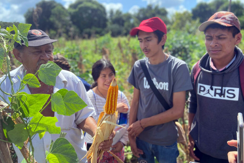 BUAP | Distinguen a la Licenciatura en Gestión Territorial e Identidad Biocultural