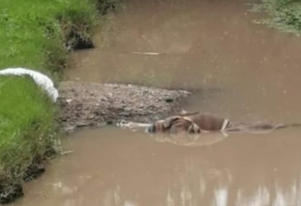 Abandonan cadáver encobijado al fondo de una barranca de Hueyotlipan, Tlaxcala