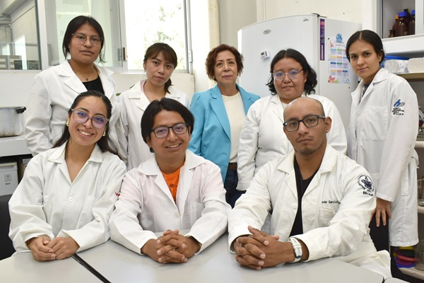 BUAP | Extractos de pápalo y pipicha inhiben crecimiento de bacterias patógenas