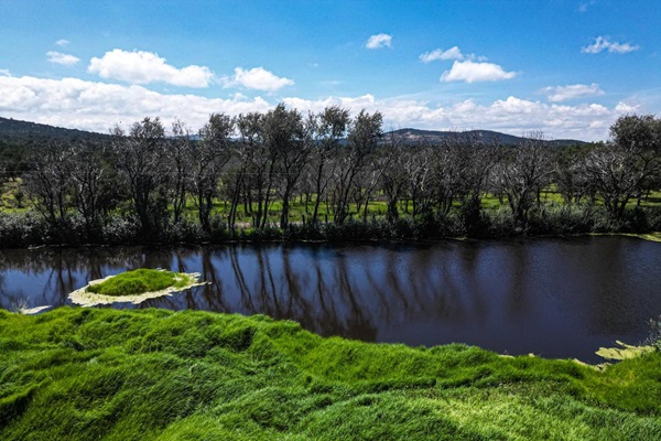 Inician trabajos de restauración del área natural protegida “Los Pitzocales” en Tetla, Tlaxcala