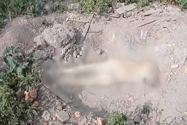 Maltrato animal en Coapan entierran vivo a un perro después de atropellarlo