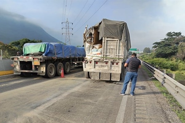 Choque en la autopista Orizaba-Puebla deja dos caballos muertos y uno herido