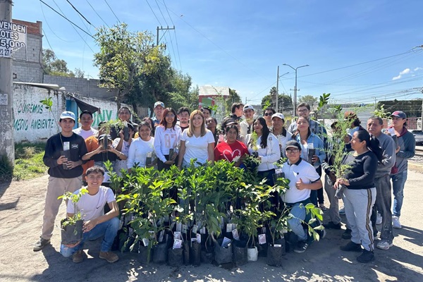 Con jornadas de reforestación, desarrollamos espacios verdes: Armenta 