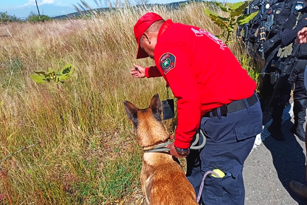 Fortalecen Puebla y Tlaxcala operatividad de unidades caninas: SSP