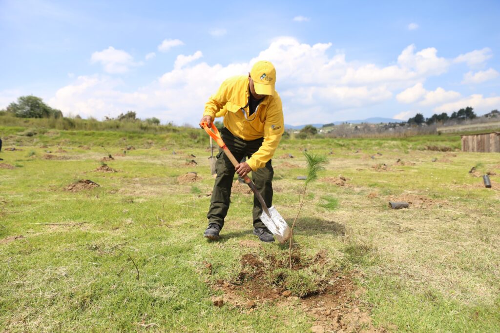 Gobierno de Puebla logra meta de reforestación en Santa Rita Tlahuapan