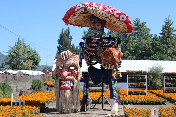 DÓNDE IR | Invitan al Festival de Cempasúchil “Entre Cráneos y Catrinas” en Atlixco