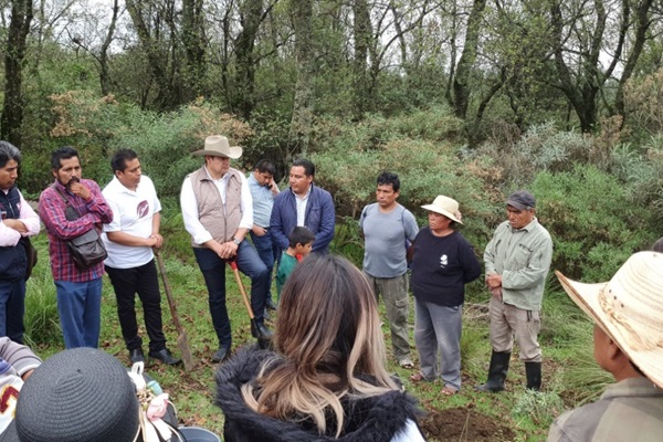 La industrialización del Cáñamo para el crecimiento sostenible y el cuidado del planeta impulsa Alejandro Armenta