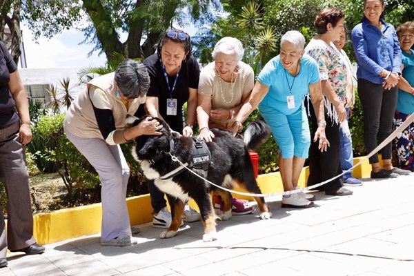 SMDIF Puebla jubila a coterapeutas caninas