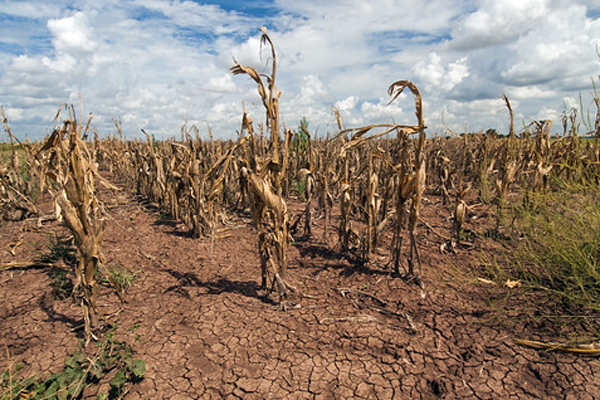 cambios-climáticos