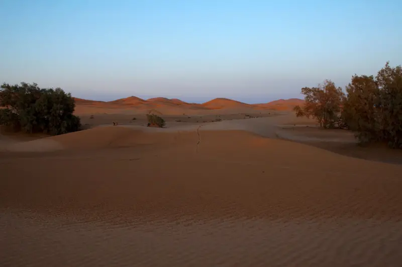 Tras lluvias inusuales, desierto del Sahara se inunda como no lo hacía desde hace 50 años