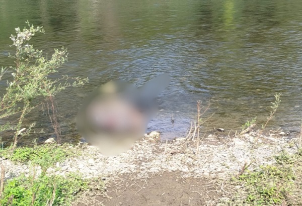 Hallan el cadáver de un hombre con huellas de violencia en el río de Pantepec, en la Sierra Norte de Puebla