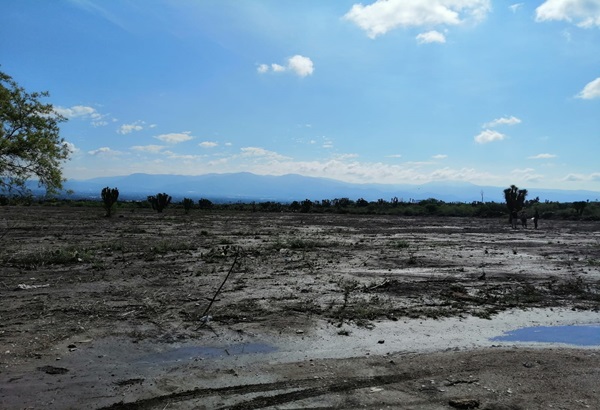 Lluvias atípicas en Magdalena Cuayucatepec, Tehuacán, podrían afectar la próxima temporada de siembra