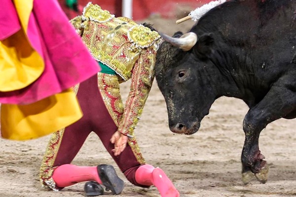 Cancelan corrida de toros en Teziutlán; empresa buscará que se reanuden eventos taurinos