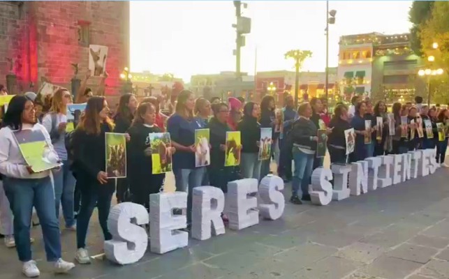 Cinco organizaciones internacionales de protección animal se reúnen en el Zócalo de Puebla