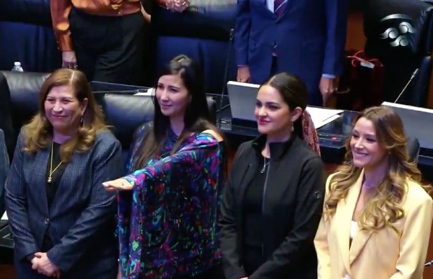 Denisse Ortiz rinde protesta como senadora suplente para votar reelección de Rosario Piedra Ibarra