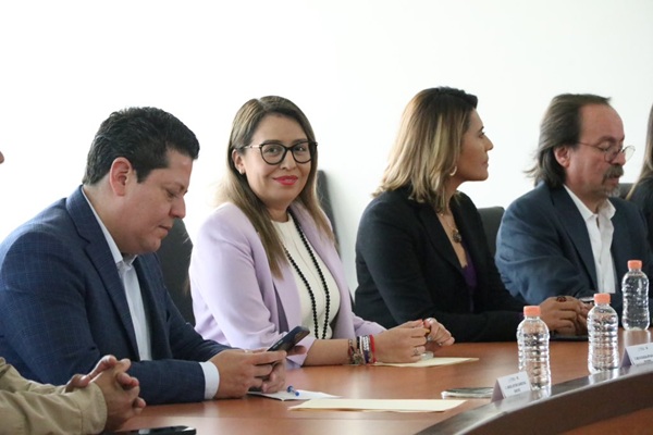 Falta de dictamen federal impide presentar avances sobre Alerta de Violencia de Género en Puebla