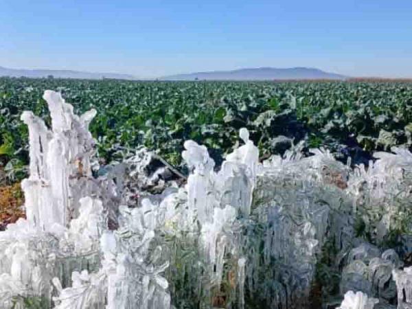 CLIMA | Habrá chubascos en Puebla y Tlaxcala, así como temperaturas de hasta -5 °C