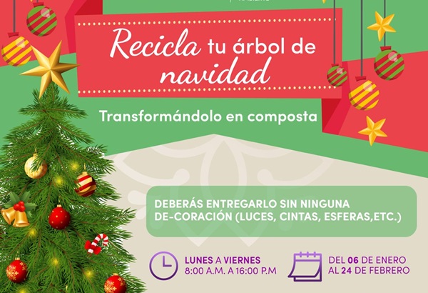 Inicia SMA Tlaxcala campaña de acopio “Recicla tu Árbol de Navidad”