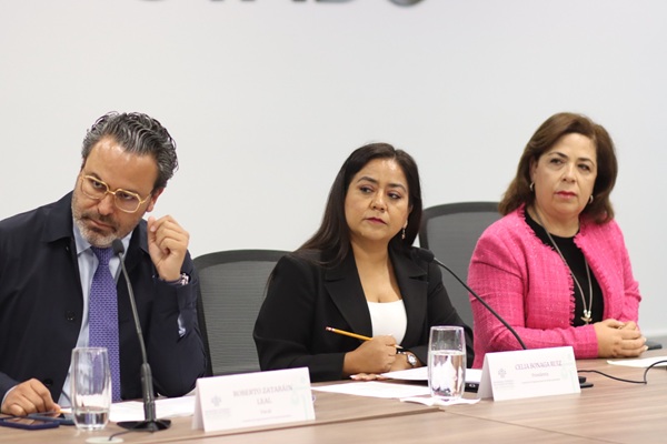 Presentan en Comisión del Congreso de Puebla propuesta de Encuesta Digital para Organizaciones No Gubernamentales